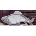 9-1/2"x22" Novella Sea Trout Server (Polished)